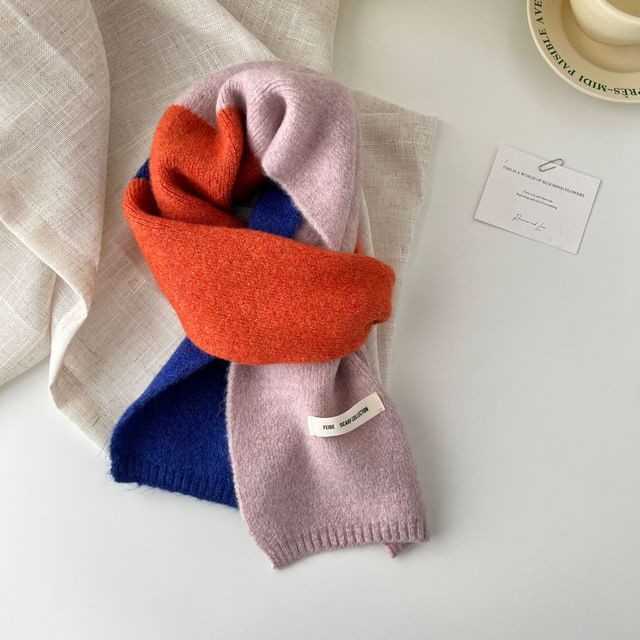 Knit Color Block Scarf
