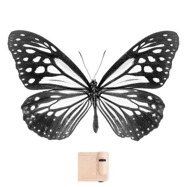 Butterfly Wings Projector – Wonderland Case
