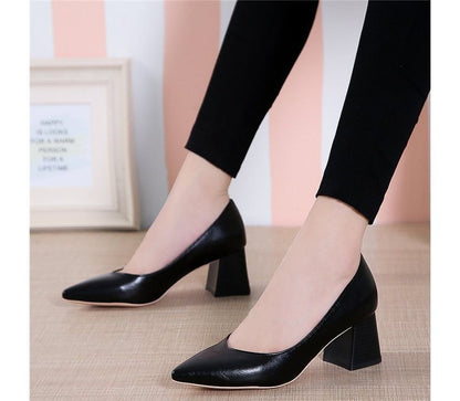 Pointy-Toe Chunky-Heel Pumps