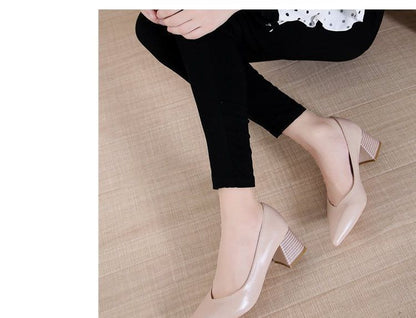 Pointy-Toe Chunky-Heel Pumps