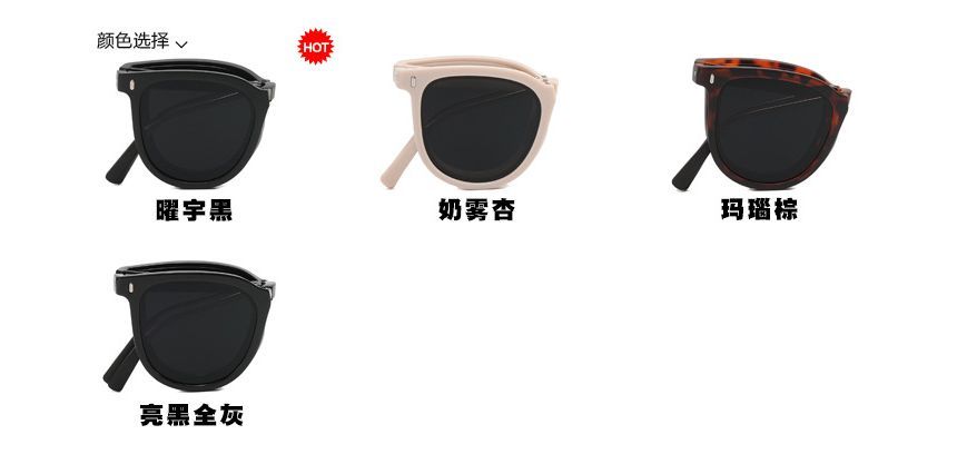 Case Sunglasses Foldable / Retro Sunglass