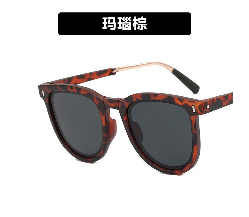 Case Sunglasses Foldable / Retro Sunglass