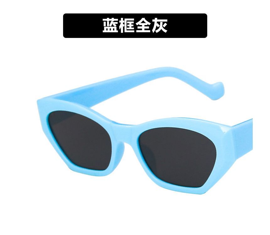 Eyeglasses Resin Thick