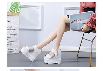 Sandals Sheer Platform Wedge