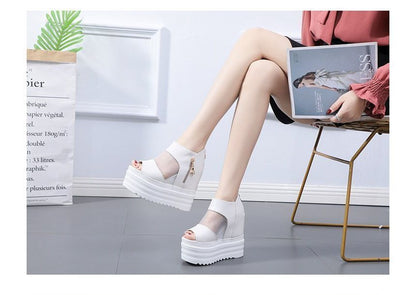 Sandals Sheer Platform Wedge