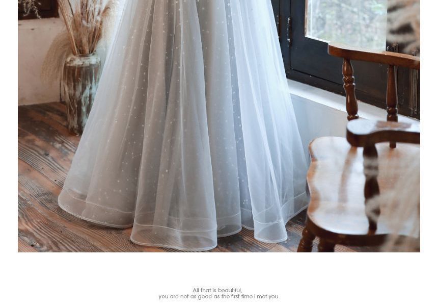 / Midi A-Line Dress Cap-Sleeve Panel Sequin Evening Gown Mesh