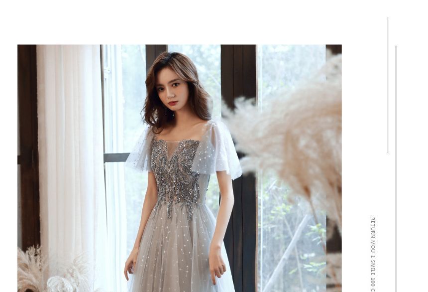 / Midi A-Line Dress Cap-Sleeve Panel Sequin Evening Gown Mesh