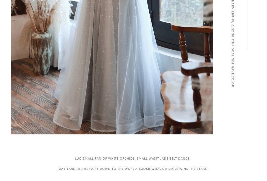 / Midi A-Line Dress Cap-Sleeve Panel Sequin Evening Gown Mesh