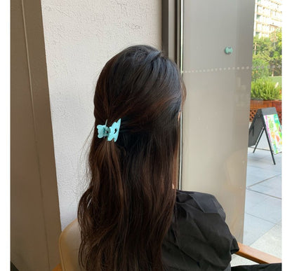 Clamp Matte Hair Bear