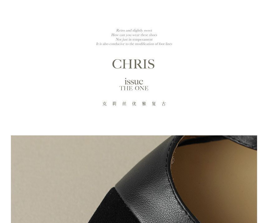 Pointed Strap Buckled Flats