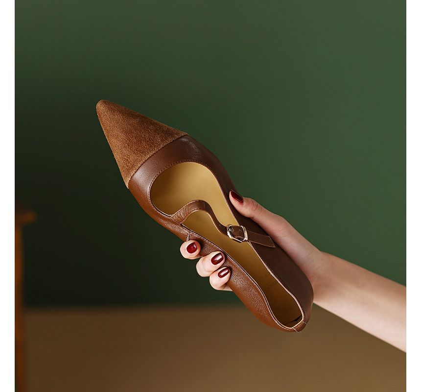 Pointed Strap Buckled Flats