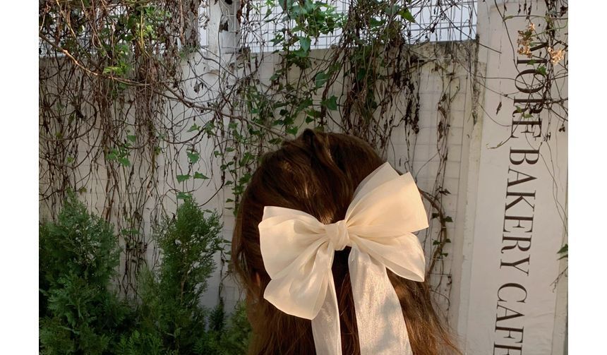 Plain Bow Mesh Hair Clip