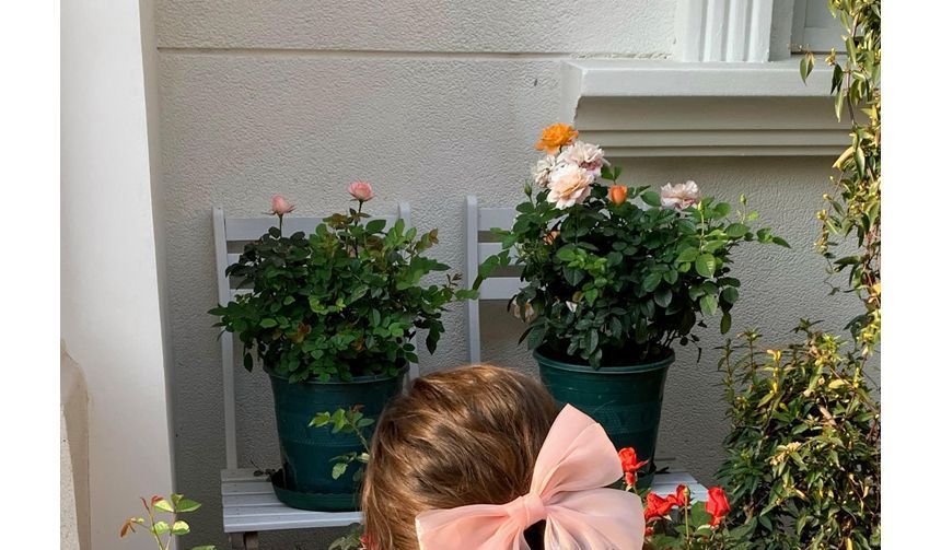 Plain Bow Mesh Hair Clip