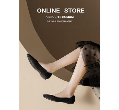 Chaussures plates pointues