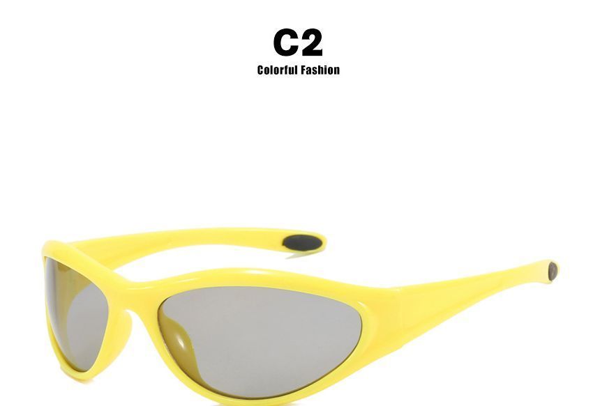 Sunglasses / Transparent Plain