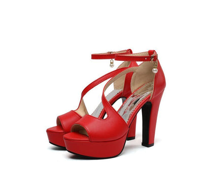 Strap Chunky Heel Sandals Ankle Platform