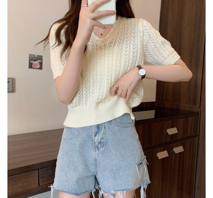 V-Neck Short-Sleeve Crochet Top Knit