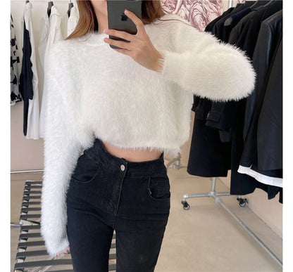 Sweater Plain Cropped Neck Round