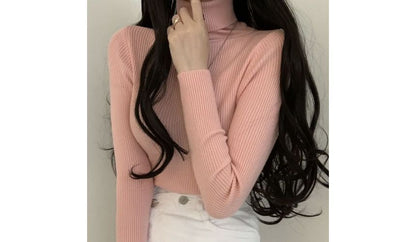 Long-Sleeve Turtleneck Plain Ribbed Knit Top