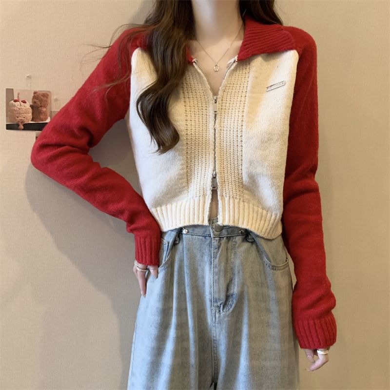 Cardigan Two-Tone Zip Polo