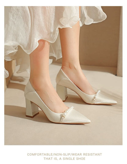 Pointy High Heel Pumps