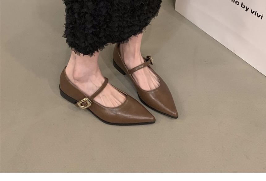 Pointy Shoes Toe Mary Jane