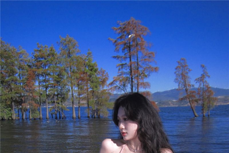 A-Line Maxi Halter Trim Dress Ruffle V-Neck Plain