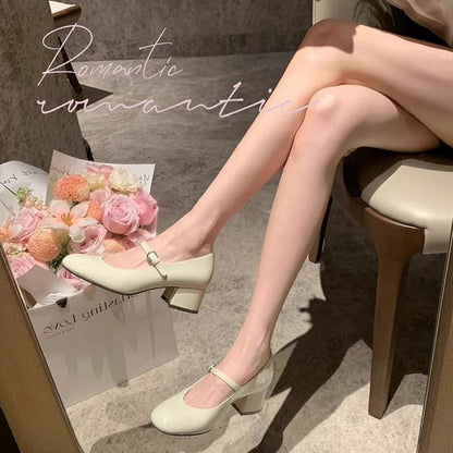 Chunky Pumps Heel Mary Jane