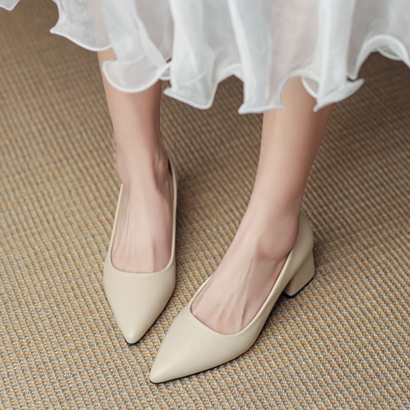 Pumps Pointed Heel Block