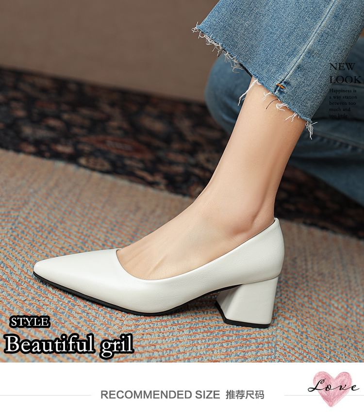 Pumps Pointed Heel Block