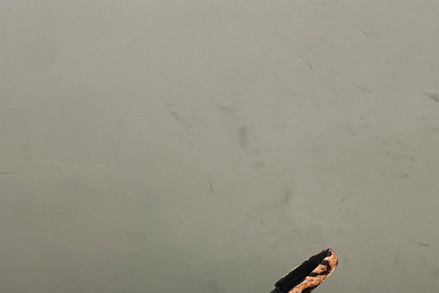 Leopard Print Slingback Kitten Heel Mules