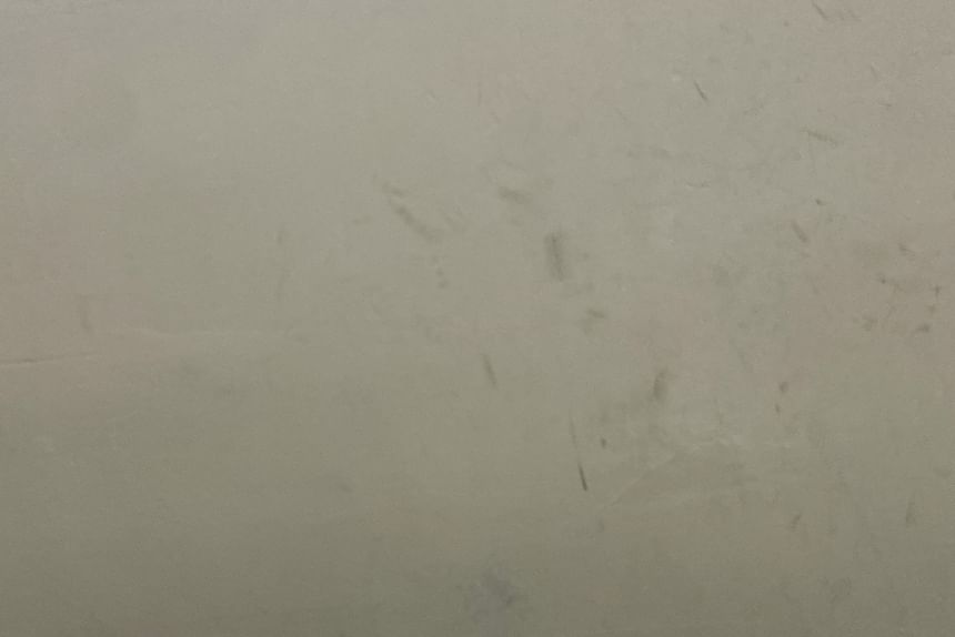 Leopard Print Slingback Kitten Heel Mules