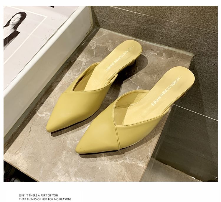 Heel Toe Pointed Mules Kitten