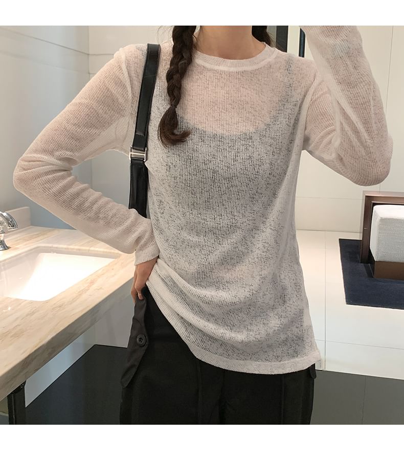 Long Sleeve Crew Neck Plain Sheer Knit Top