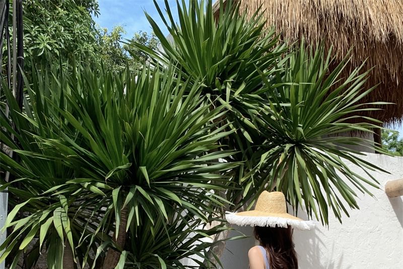 Square Maxi Sun Neck Spaghetti Striped Ruffle Strap Dress