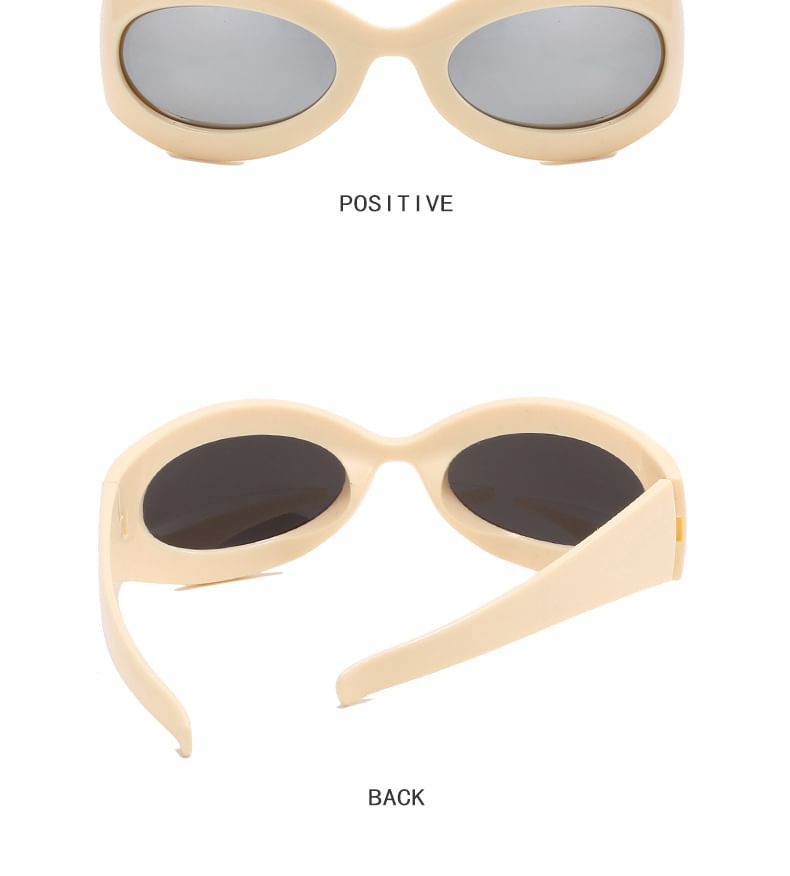 Thick Rimmed Oval Sunglasses