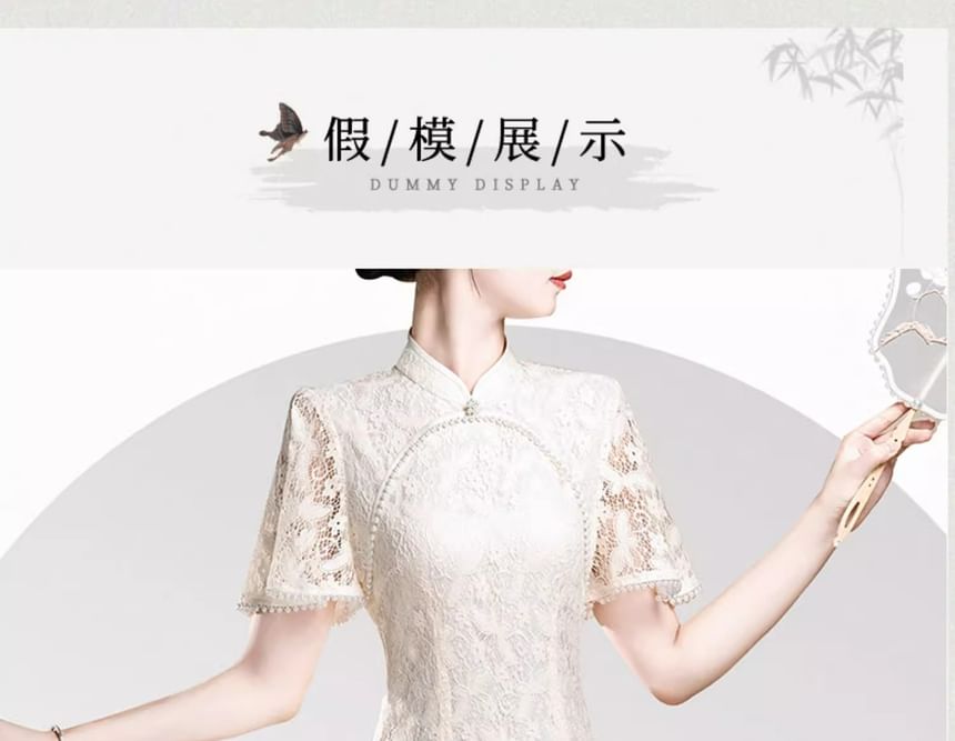 Short Sleeve Mandarin Collar Lace Midi Sheath Dress