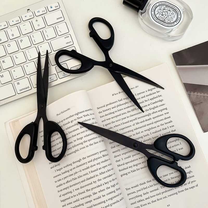 Stainless Steel Scissors   / Set