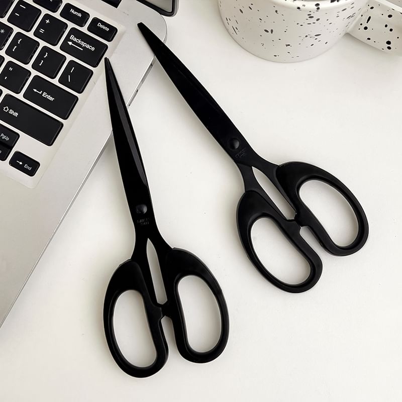 Stainless Steel Scissors   / Set