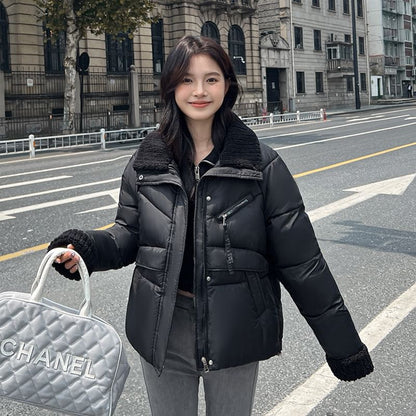 Collared Plain Zip-Up Puffer Jacket