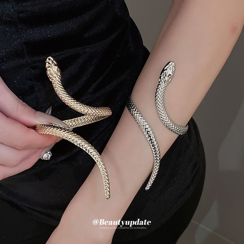Snake Set: Bangle Ring +