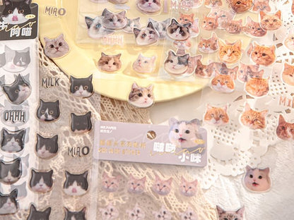 Cat Sticker