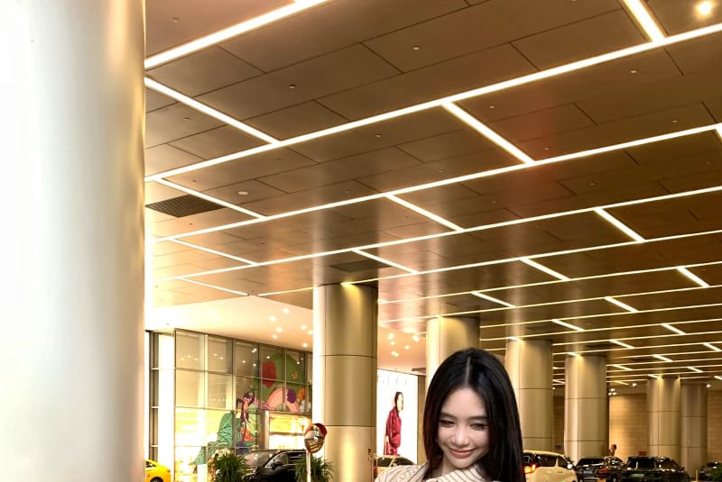 Skirt Waist Striped / Pencil Button Up Collared High Long-Sleeve Print Mini Leopard Shirt