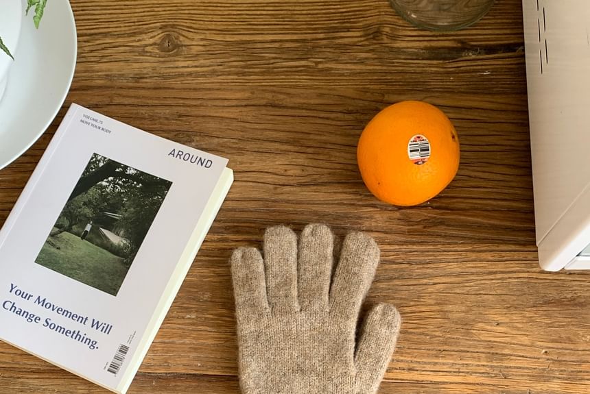 Knit Applique Contrast Trim Gloves