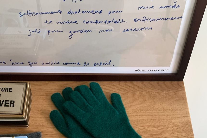 Knit Applique Contrast Trim Gloves