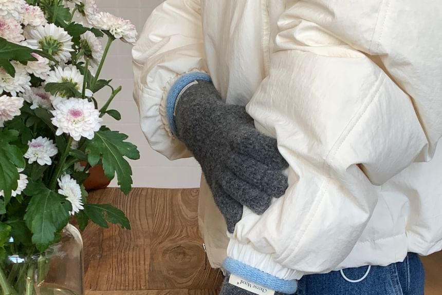 Knit Applique Contrast Trim Gloves