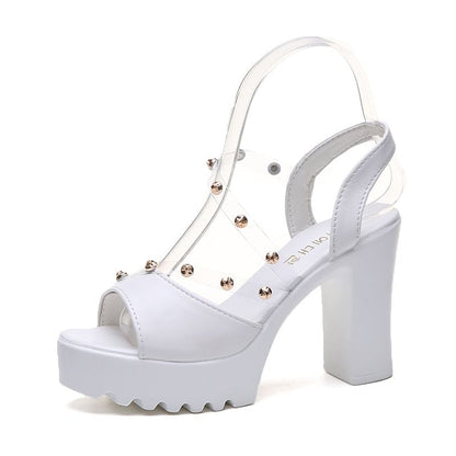 Platform Sandals Heel Chunky