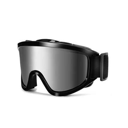 Ski Goggles