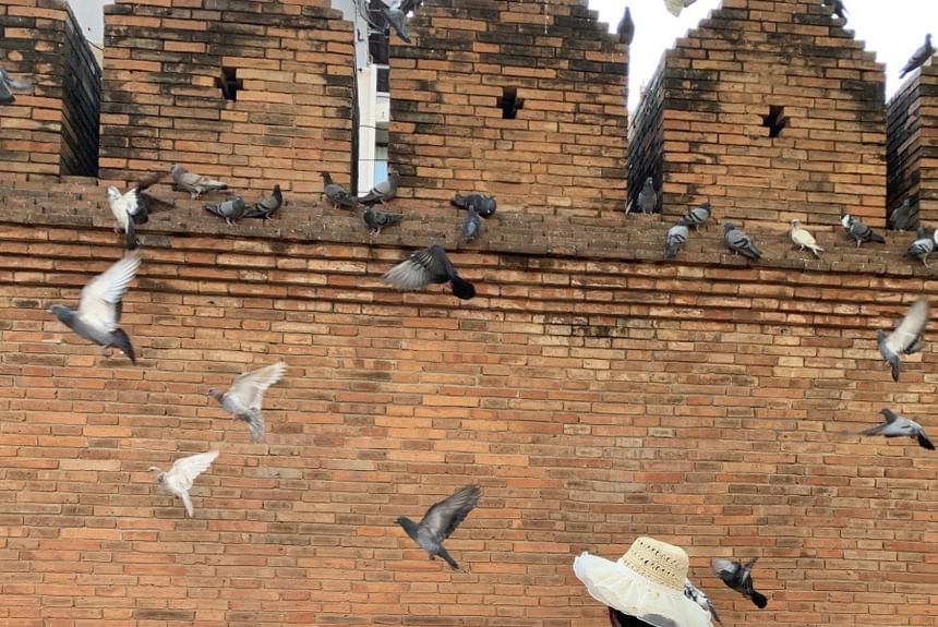 Halter Sleeveless Maxi Wave Dress A-Line Neck Striped