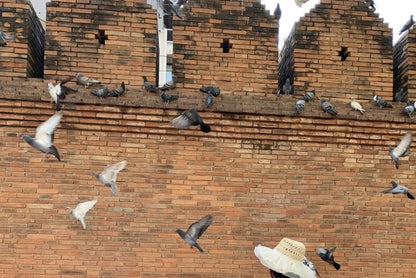 Halter Sleeveless Maxi Wave Dress A-Line Neck Striped